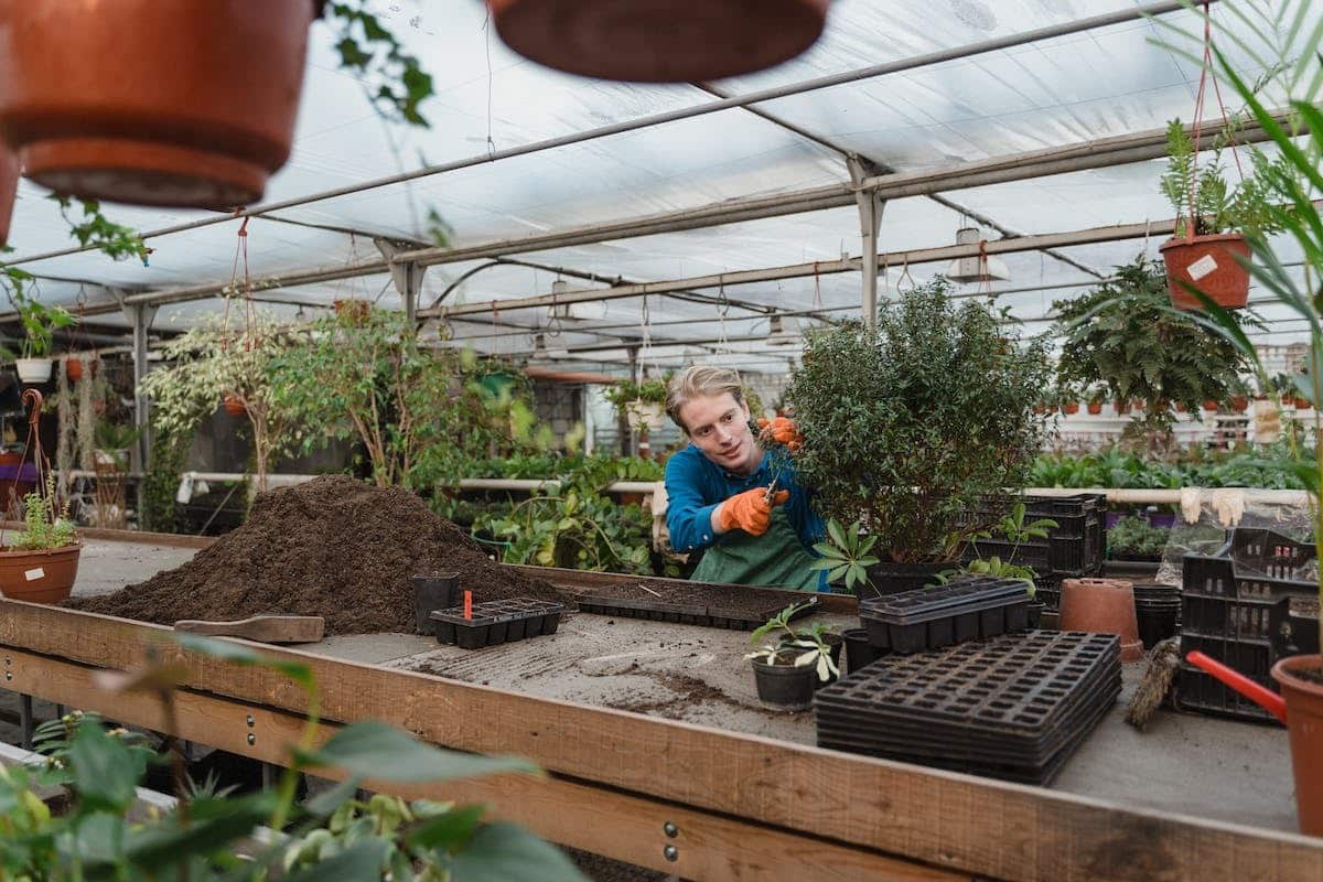 Concept de jardins partagés : Vers une communauté verte et solidaire en mode durable
