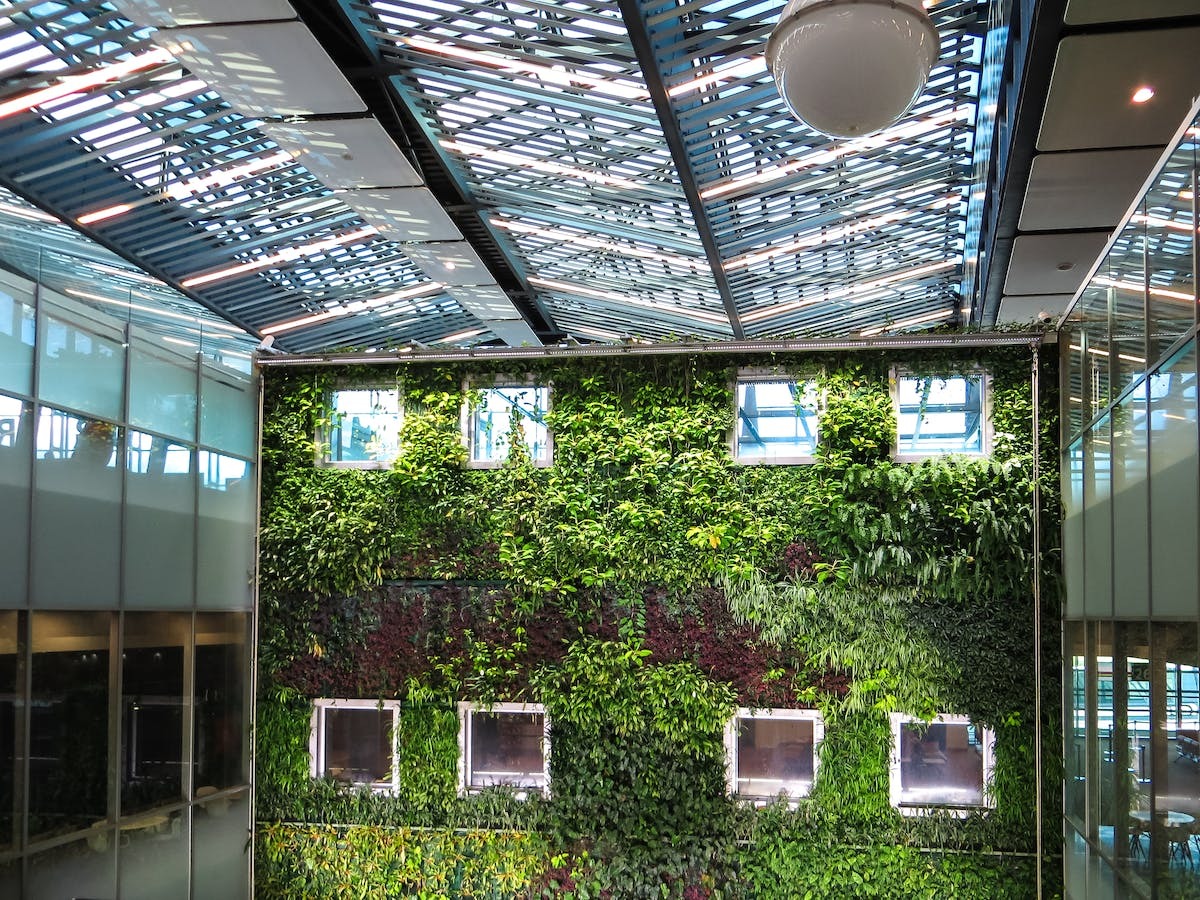 jardins verticaux